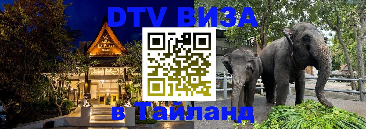 Как сделать DTV визу в Тайланд Ессентуки 